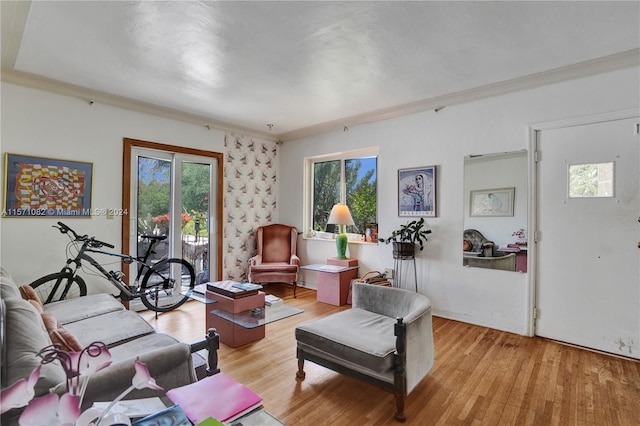 living room featuring plenty of natural light, light hardwood / wood-style flooring, and ornamental molding