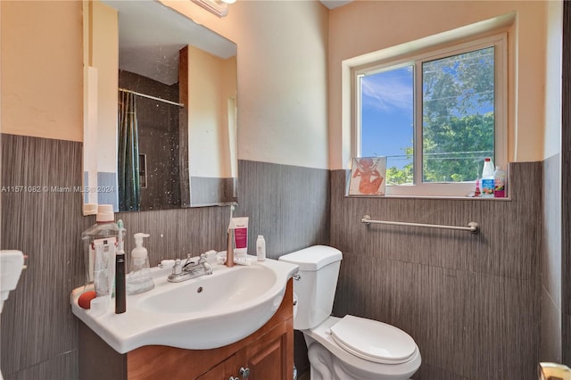 bathroom with toilet and large vanity