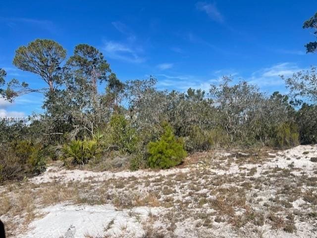 237 Carole Rd NW, Lake Placid FL, 33852 land for sale