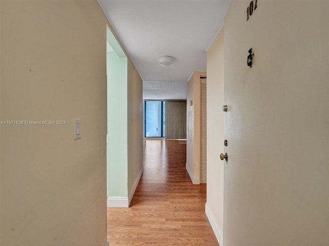 hall with light hardwood / wood-style flooring