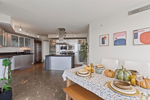 kitchen featuring appliances with stainless steel finishes, track lighting, island range hood, and sink