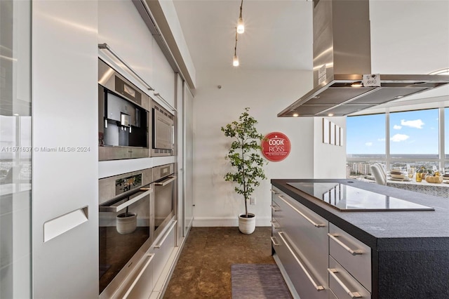 kitchen with ventilation hood and stainless steel appliances