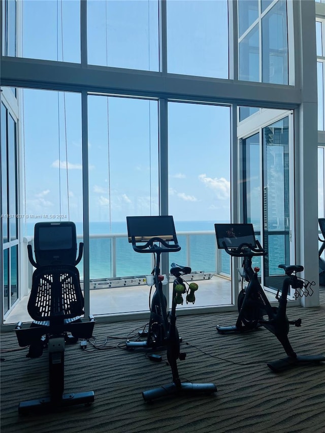 workout area with a water view