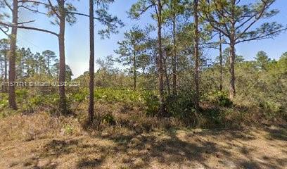 626 Bryce St Fl, FL, 33852 land for sale