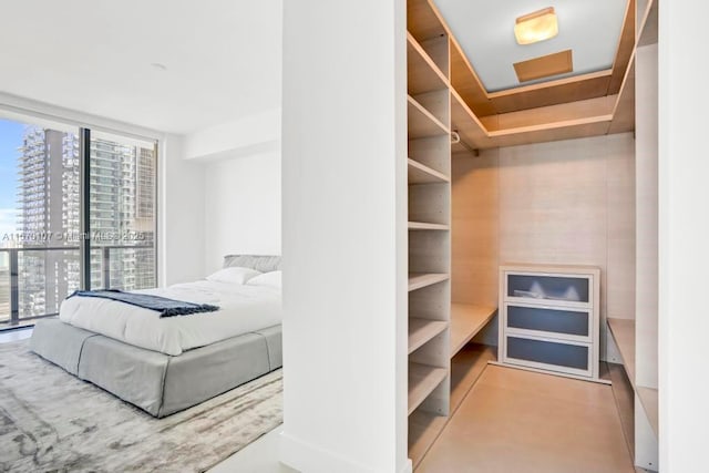 spacious closet featuring attic access