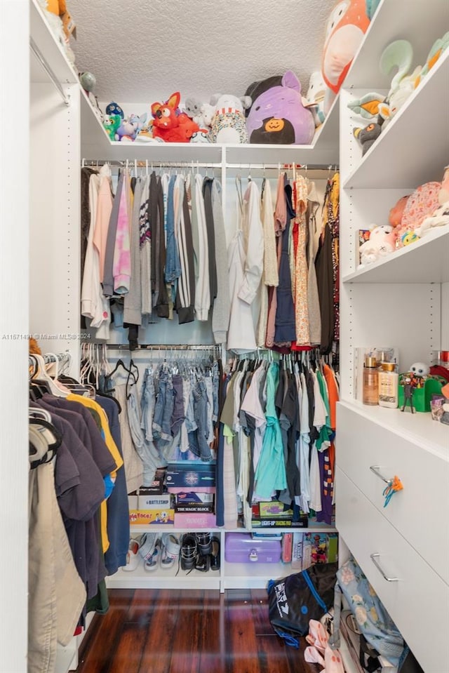 walk in closet featuring hardwood / wood-style floors