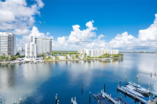 view of water feature featuring a boat dock