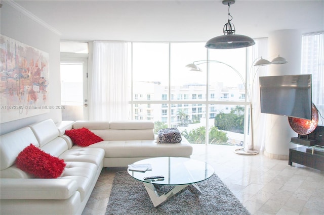 living area with a wall of windows and crown molding