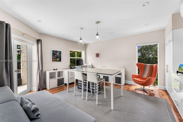 dining room with plenty of natural light and light wood-type flooring