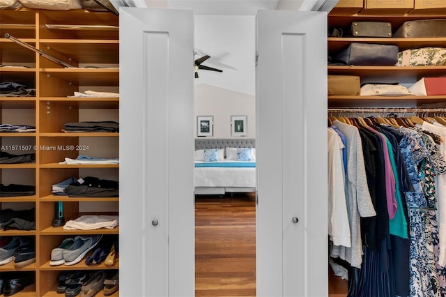 view of closet