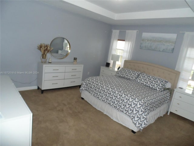 carpeted bedroom featuring multiple windows and a raised ceiling