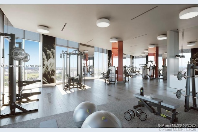 exercise room with hardwood / wood-style floors and a wall of windows