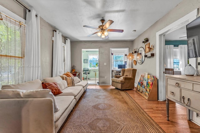 living room with wood-type flooring and ceiling fan