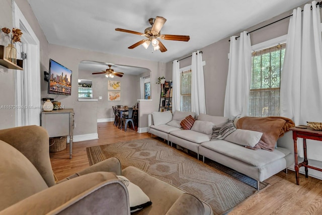 living room with ceiling fan and light wood-type flooring