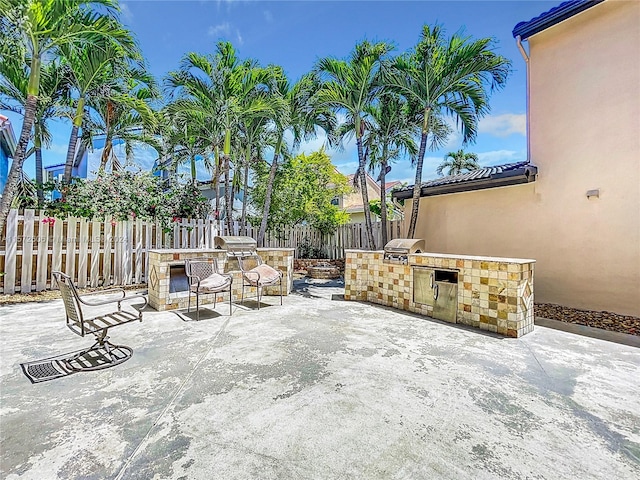 view of patio with area for grilling