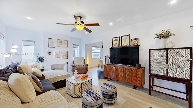 living room with ceiling fan and light wood-type flooring