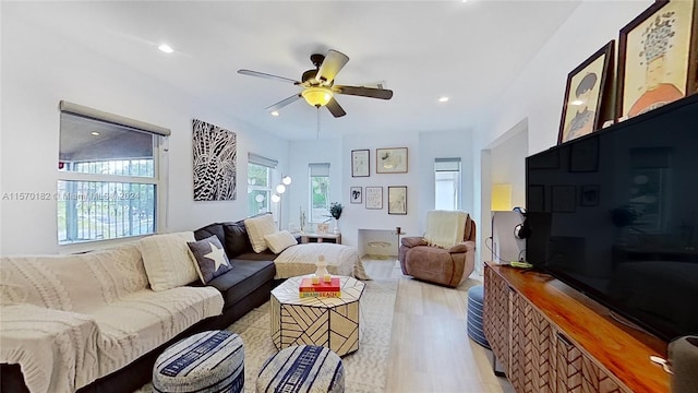 living room featuring ceiling fan, light wood-type flooring, and a wealth of natural light