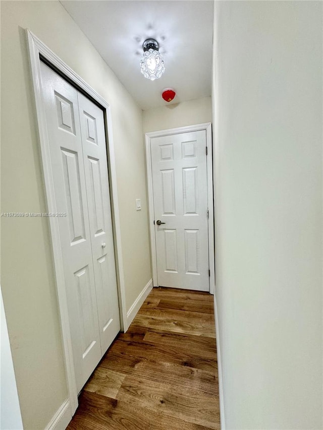 hall with hardwood / wood-style flooring