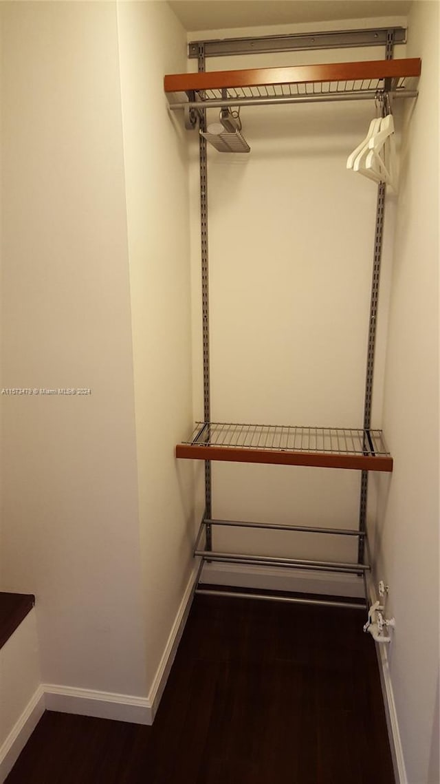 walk in closet featuring dark hardwood / wood-style flooring