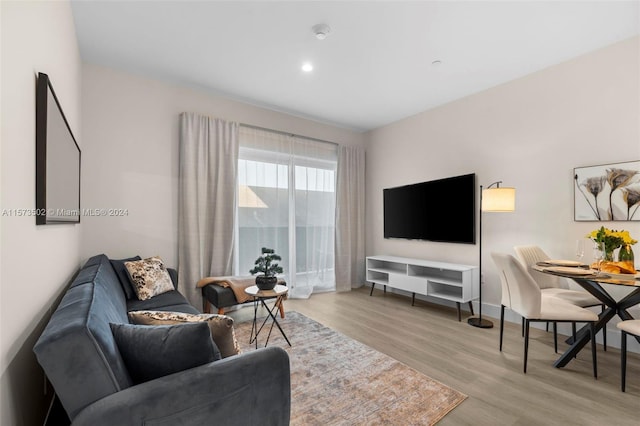 living room featuring light wood-type flooring