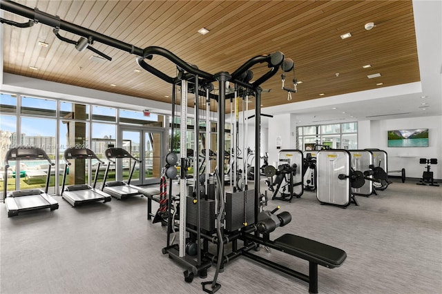 workout area featuring wooden ceiling and a healthy amount of sunlight