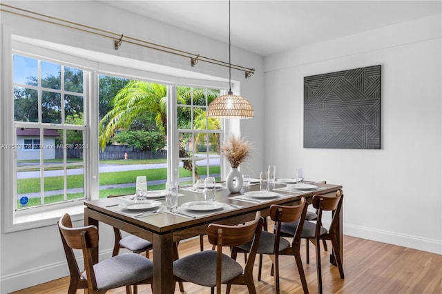 dining room with wood-type flooring