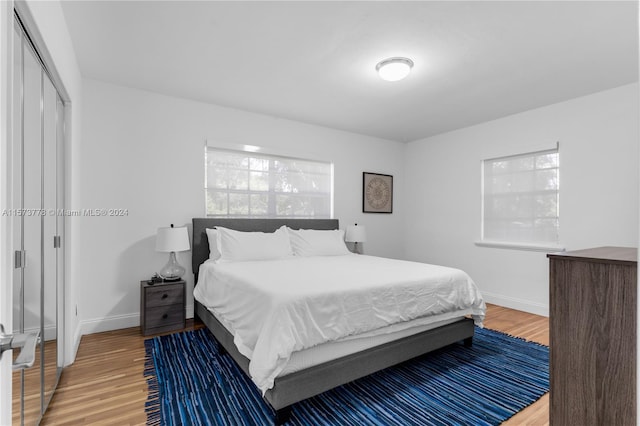 bedroom with a closet and hardwood / wood-style floors