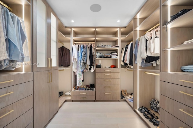 view of walk in closet