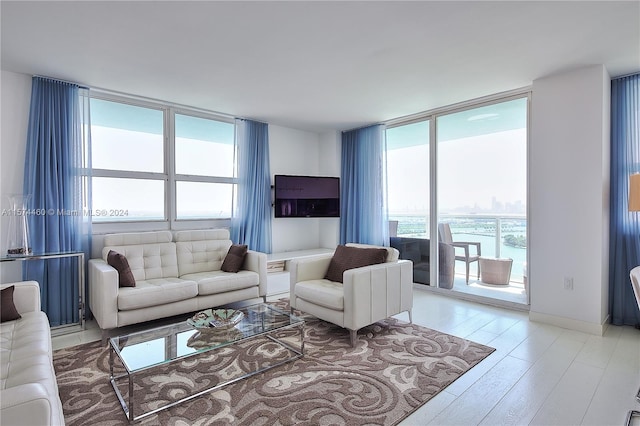 living room with hardwood / wood-style floors and a wealth of natural light