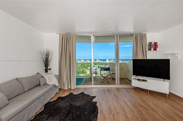 living room with a water view and hardwood / wood-style flooring