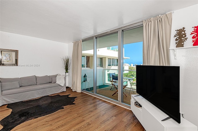 living room featuring hardwood / wood-style floors