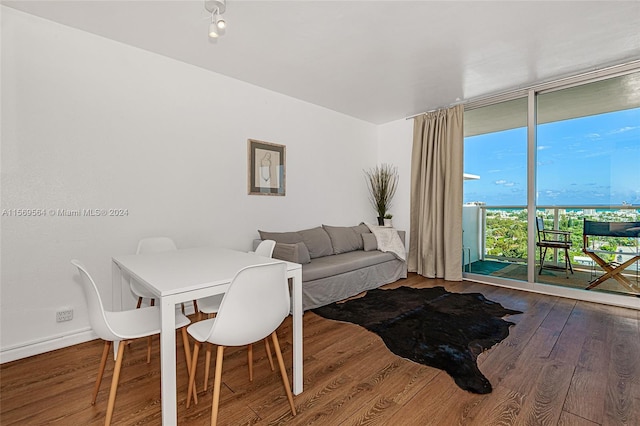 living room with hardwood / wood-style floors