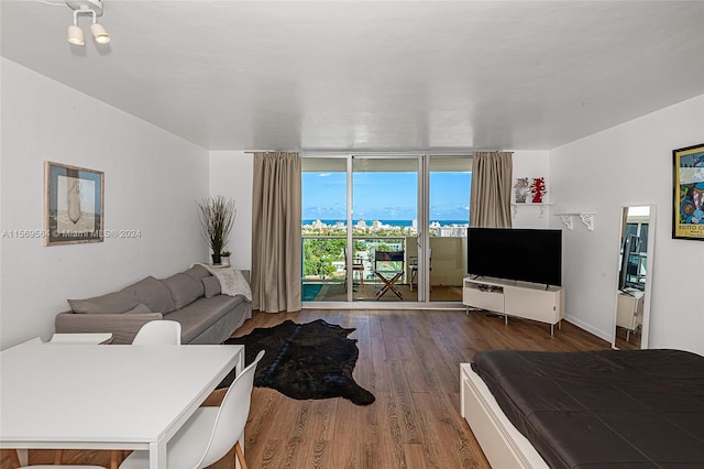 living room featuring hardwood / wood-style flooring