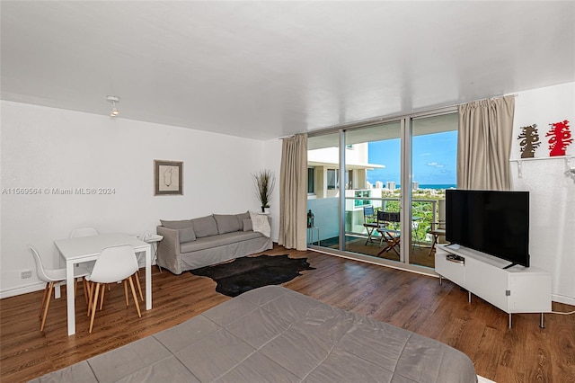 living room featuring hardwood / wood-style flooring