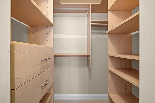 view of walk in closet