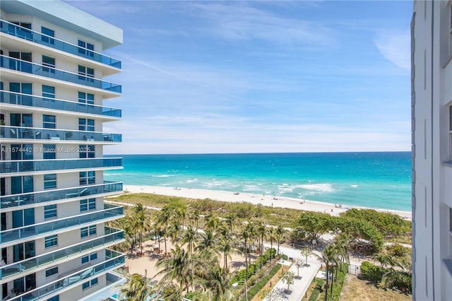 water view featuring a beach view