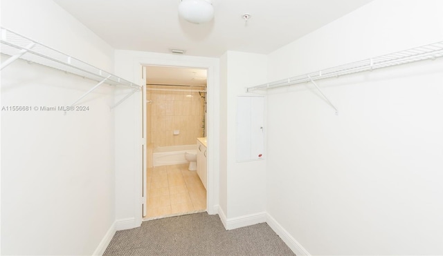 walk in closet featuring carpet flooring