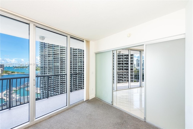 carpeted empty room with a wealth of natural light