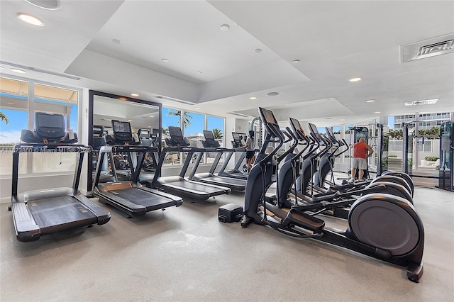 gym featuring a wealth of natural light