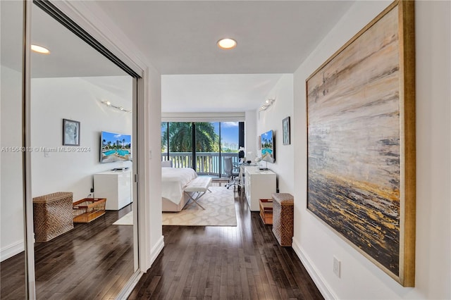 hall featuring dark wood-type flooring