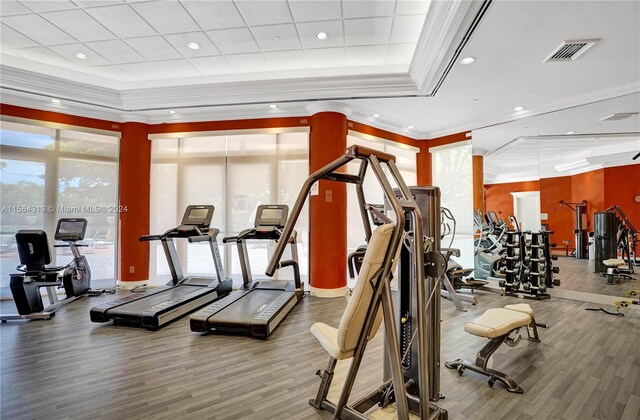 workout area featuring ornamental molding, wood-type flooring, and a raised ceiling