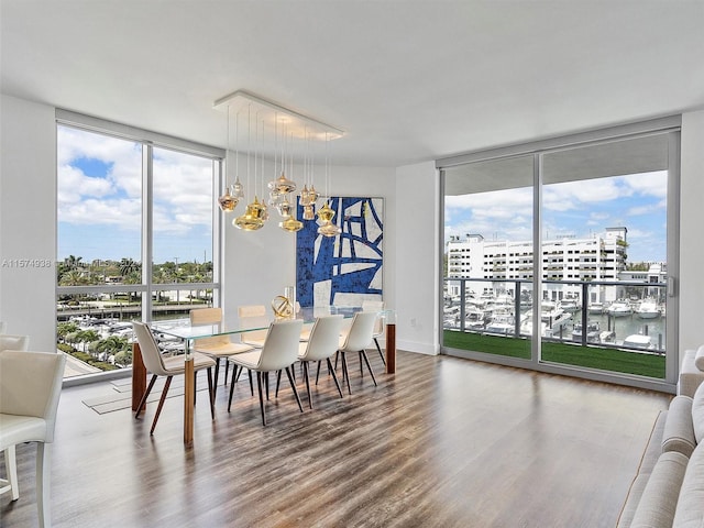 dining room with a wall of windows, an inviting chandelier, and hardwood / wood-style flooring