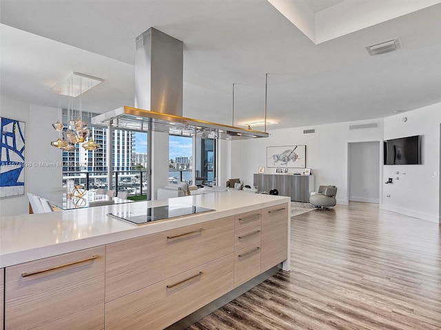 kitchen with black electric stovetop, light hardwood / wood-style floors, island exhaust hood, and light brown cabinetry