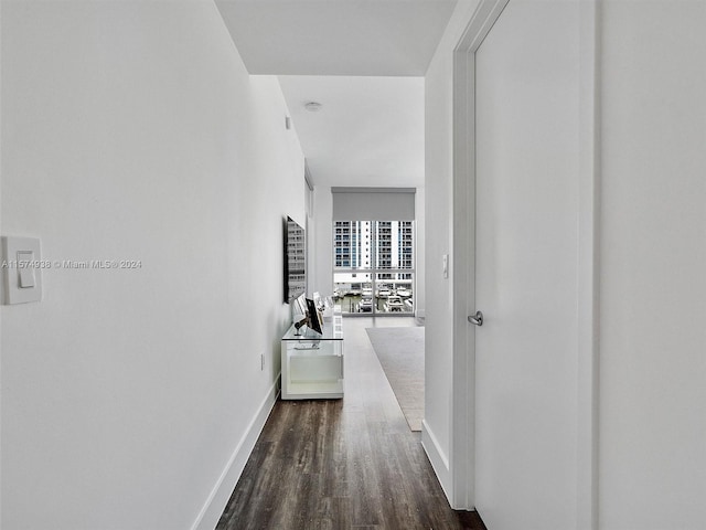 hallway featuring dark hardwood / wood-style flooring