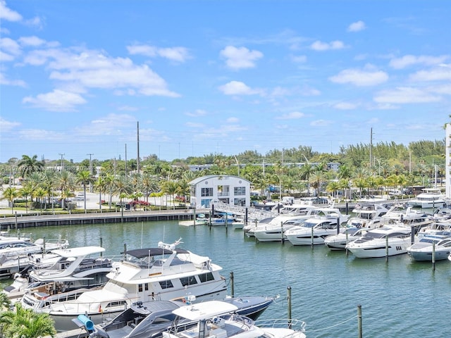 dock area with a water view