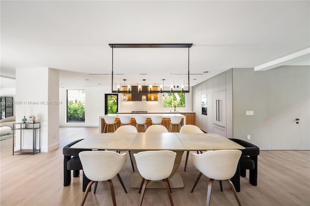 dining space with light hardwood / wood-style flooring