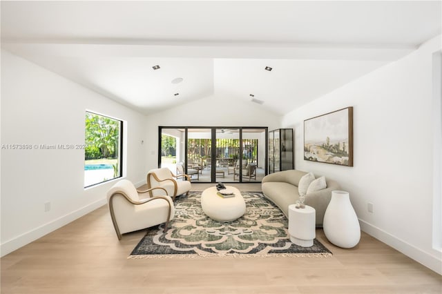 living room featuring wood-type flooring and lofted ceiling