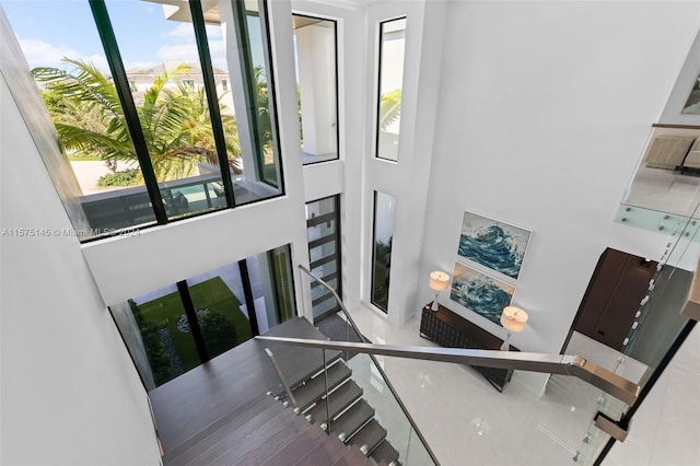 foyer entrance featuring plenty of natural light and a towering ceiling