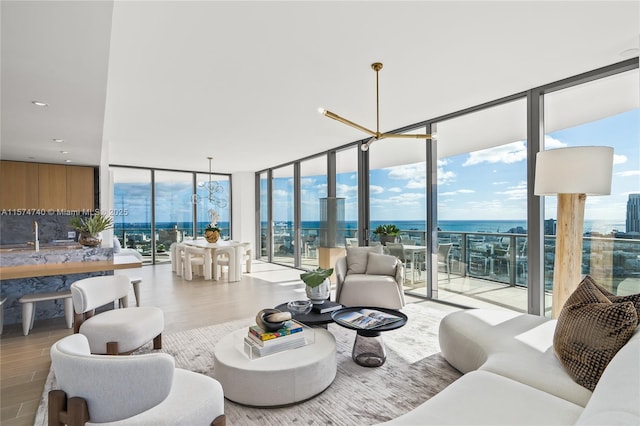 living area featuring a wall of windows, a wealth of natural light, and wood finished floors