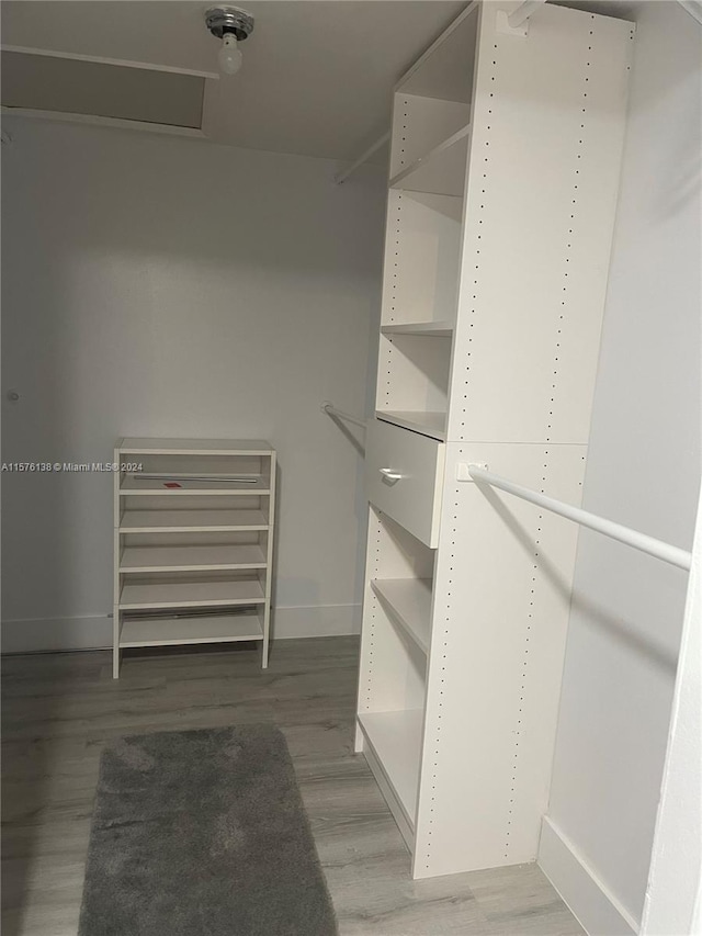 spacious closet with hardwood / wood-style flooring